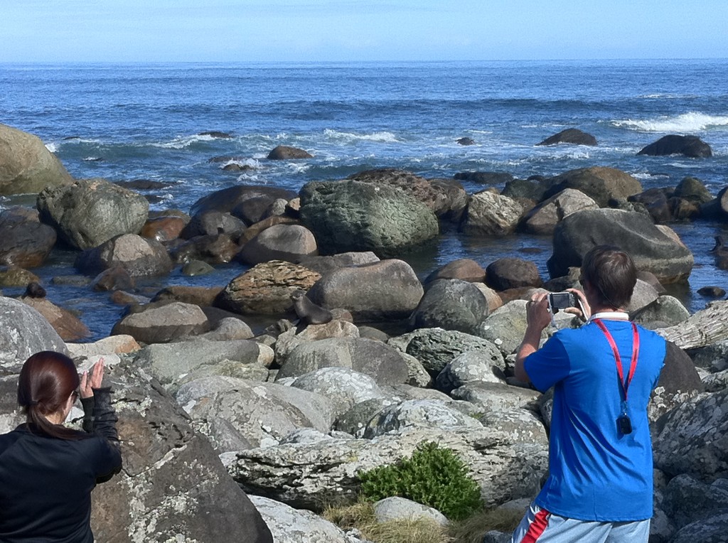 Adventure Walks, Guided hikes in Fiordland, Te Anau and Queenstown (102)