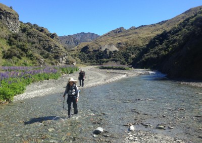 Skippers Canyon Heli Hike