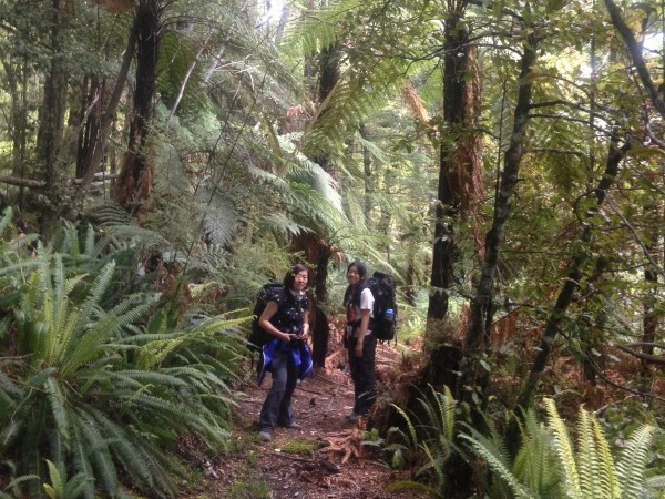 Back Valley Heil Hike
