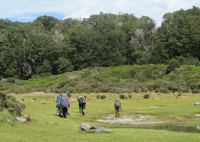 Adventure Walks, Lake McIvor hiking near Te Anau New Zealand (21)