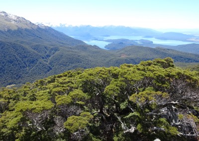 Fiordland National Park from Mount Titiroa