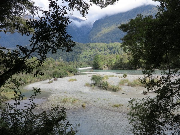 Hollyford Track