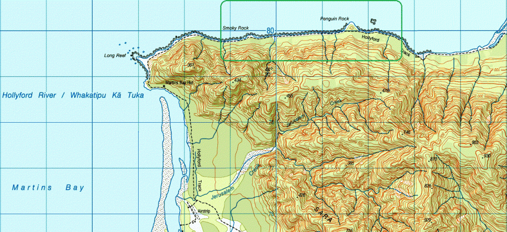 Walking with penguins detailed map