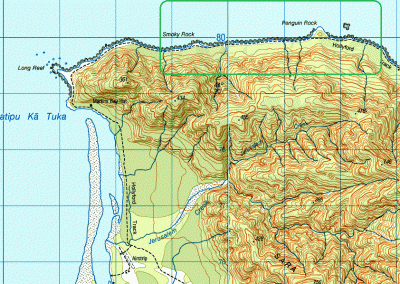 Walking with penguins detailed map
