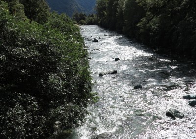 Adventure Walks - Hollyford Track - By SG (30)