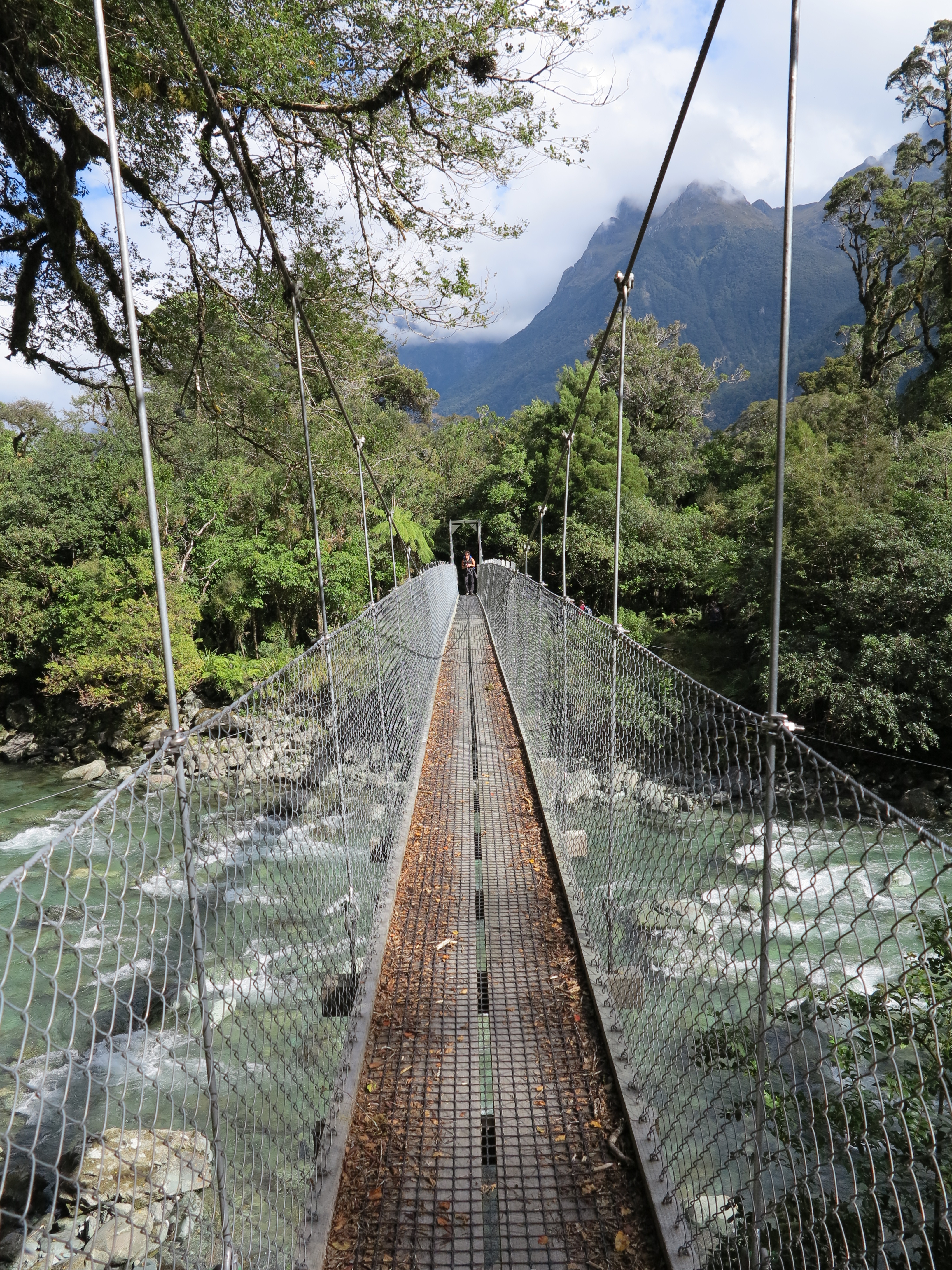 Swing bridge on the Holyford Track